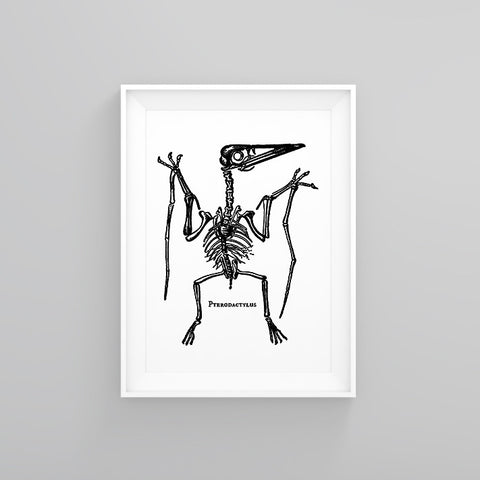 Pterodactylus - scs - Special - One Tiny Tribe