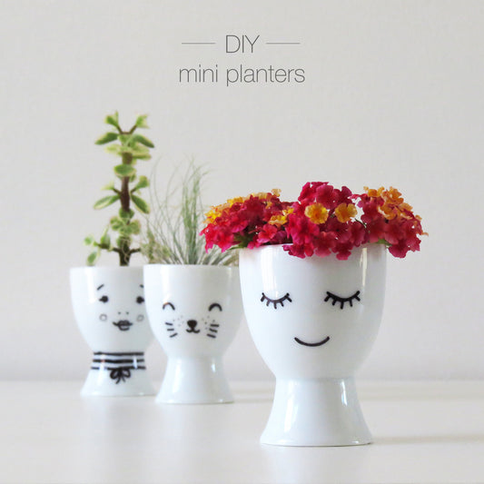 DIY mini planters