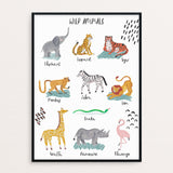 Wild Animals